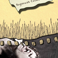 Poster Designs