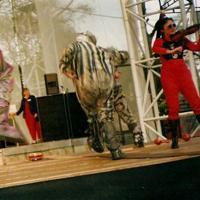 Military Rhythms And Ballads