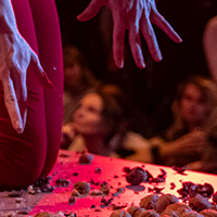 Performance Space New York